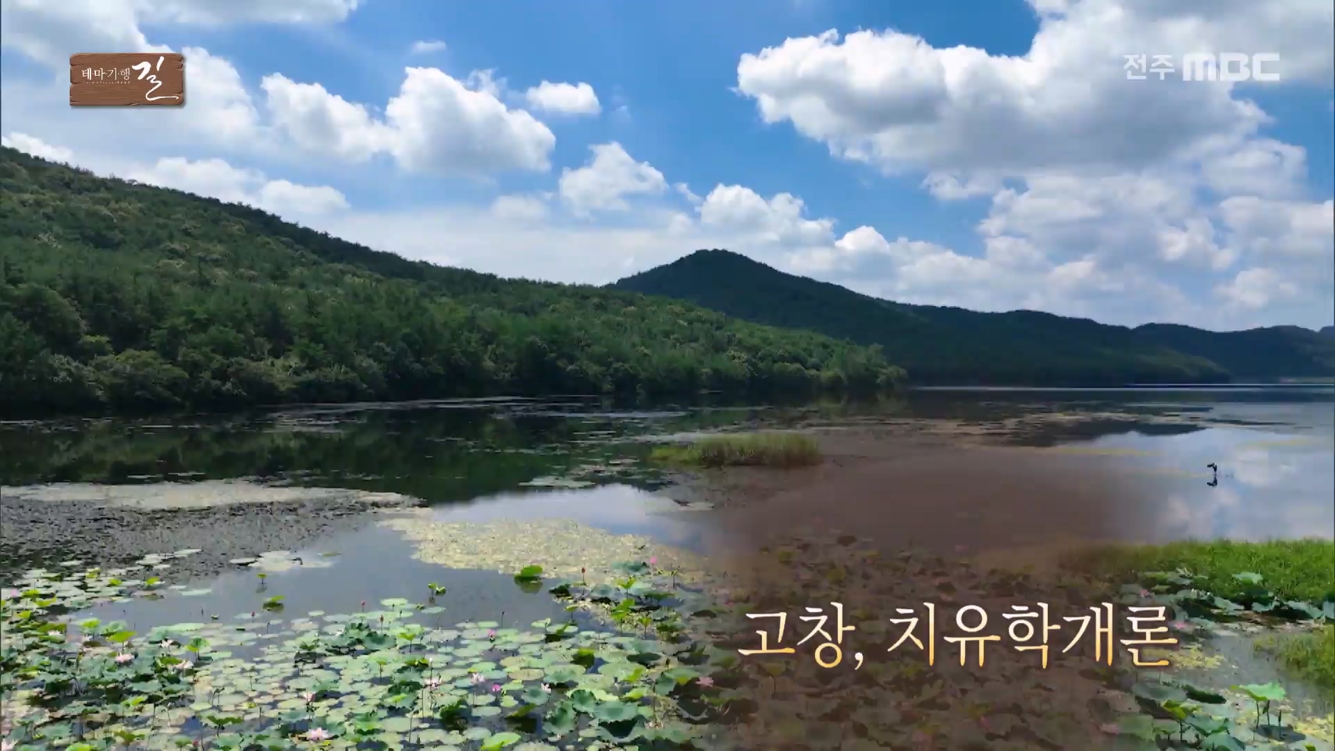 고창, 치유학개론