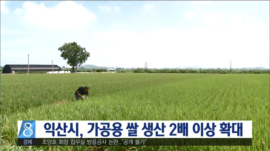 익산 가공용 쌀 재배 확대