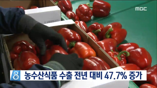 농수산식품 수출 47.7% 증가