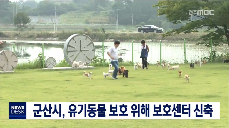 군산 유기동물보호