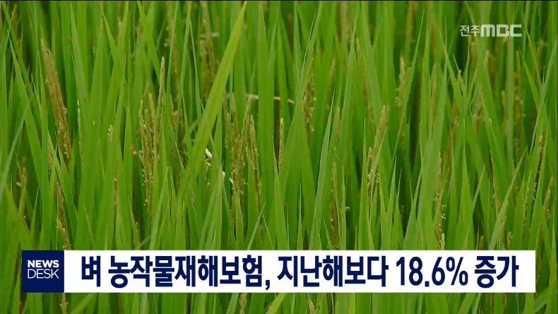 벼 농작물재해보험