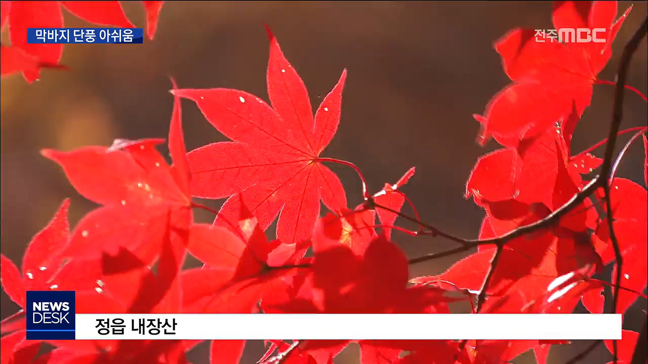 깊어가는 가을 막바지 단풍