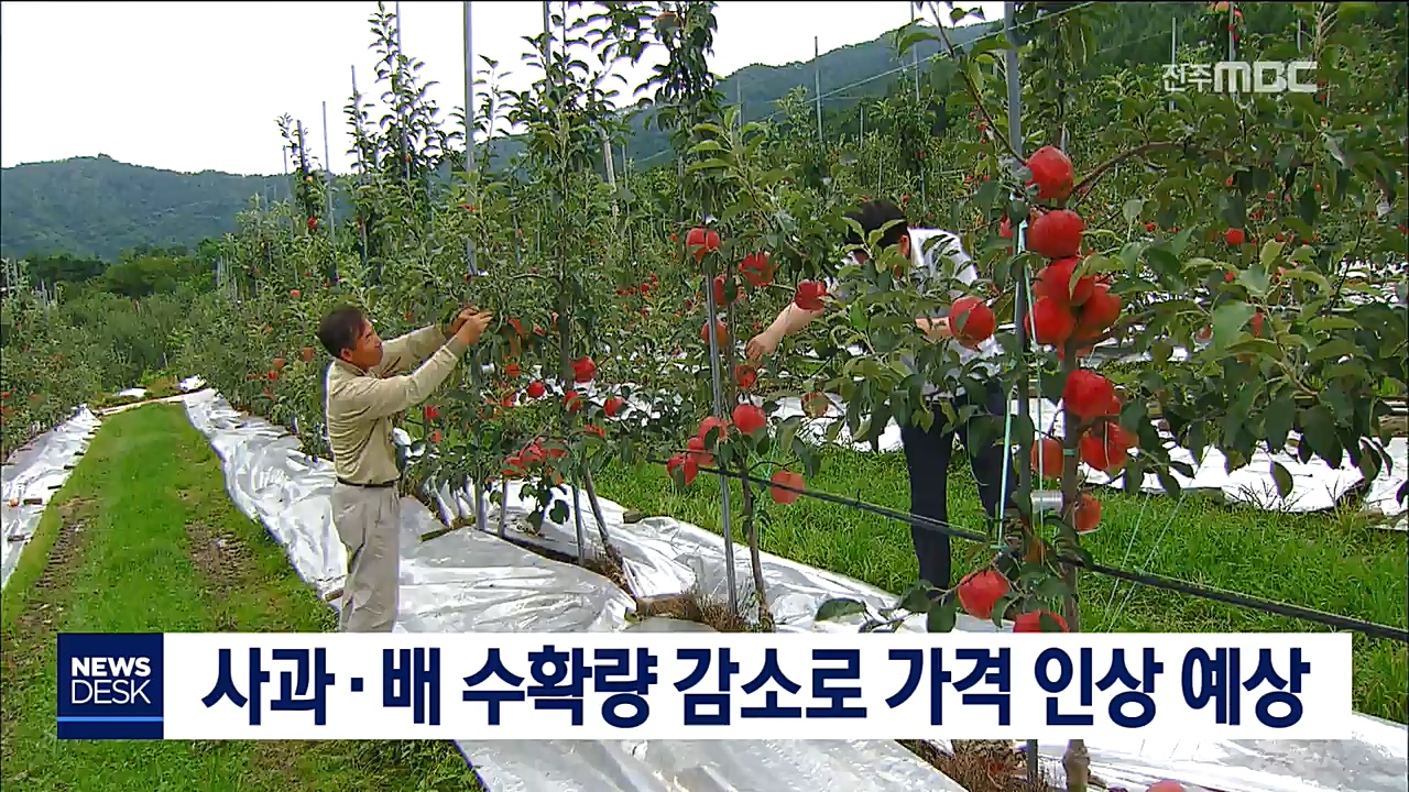 사과와 배 수확량 감소, 가격 인상