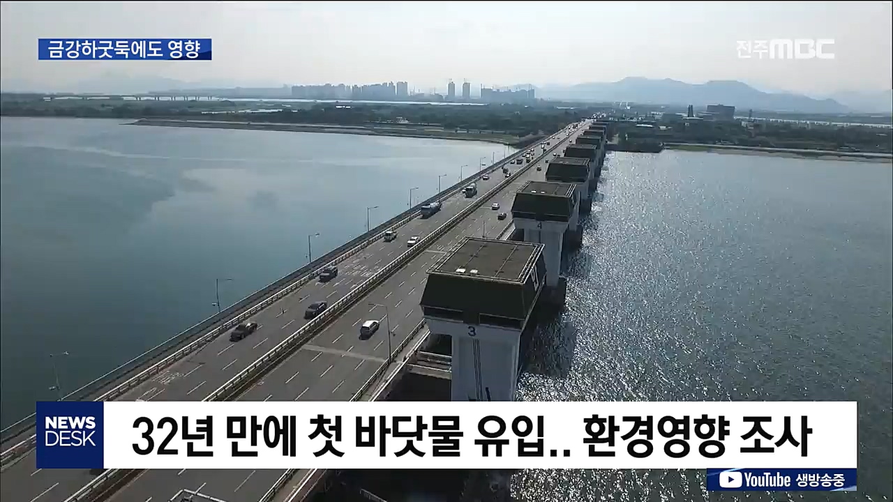 낙동강 해수유통 실험, 금강하굿둑 촉각