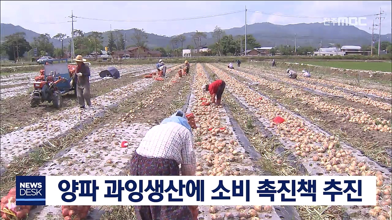 양파 소비촉진대책, 산지폐기 추진