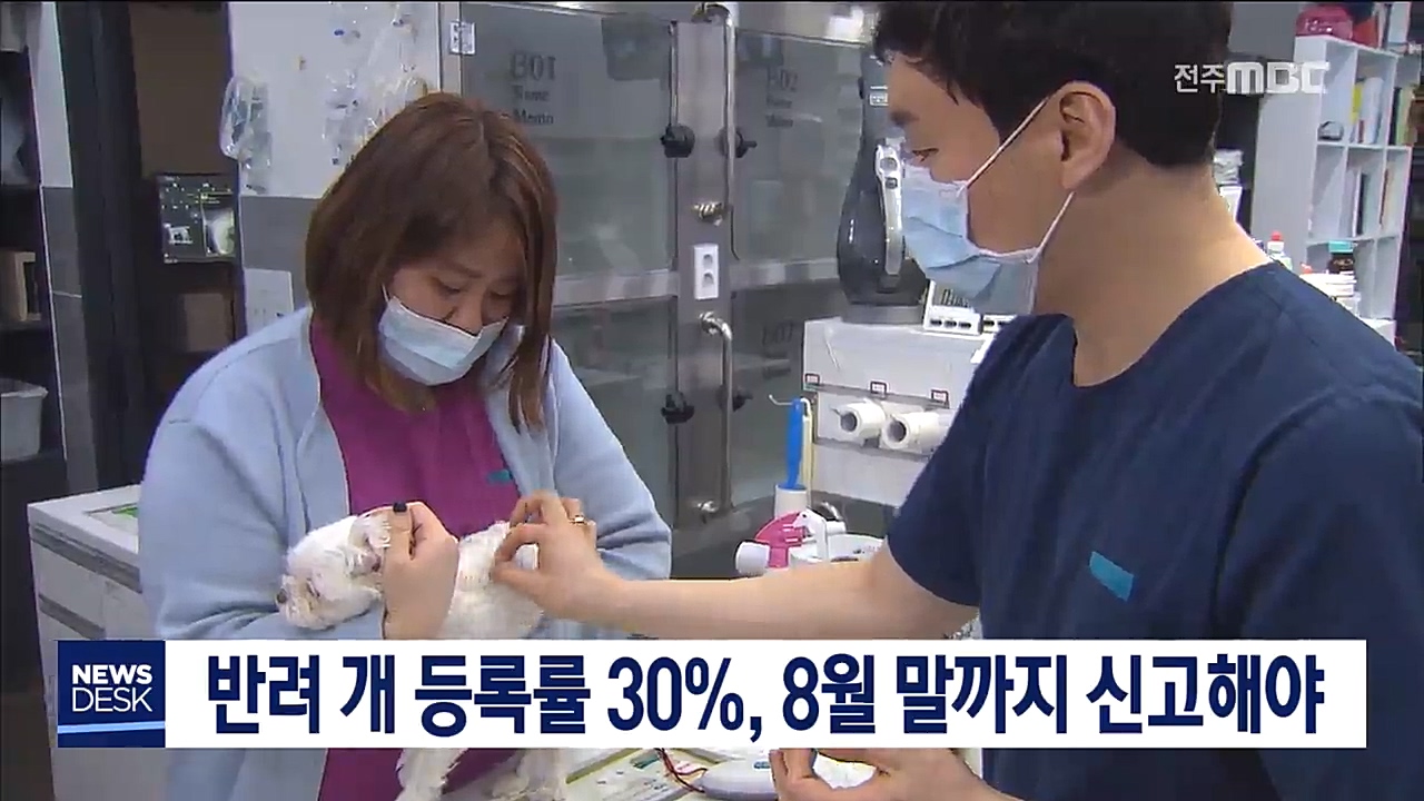 반려 개 등록률 30%, 8월 말까지 신고해야