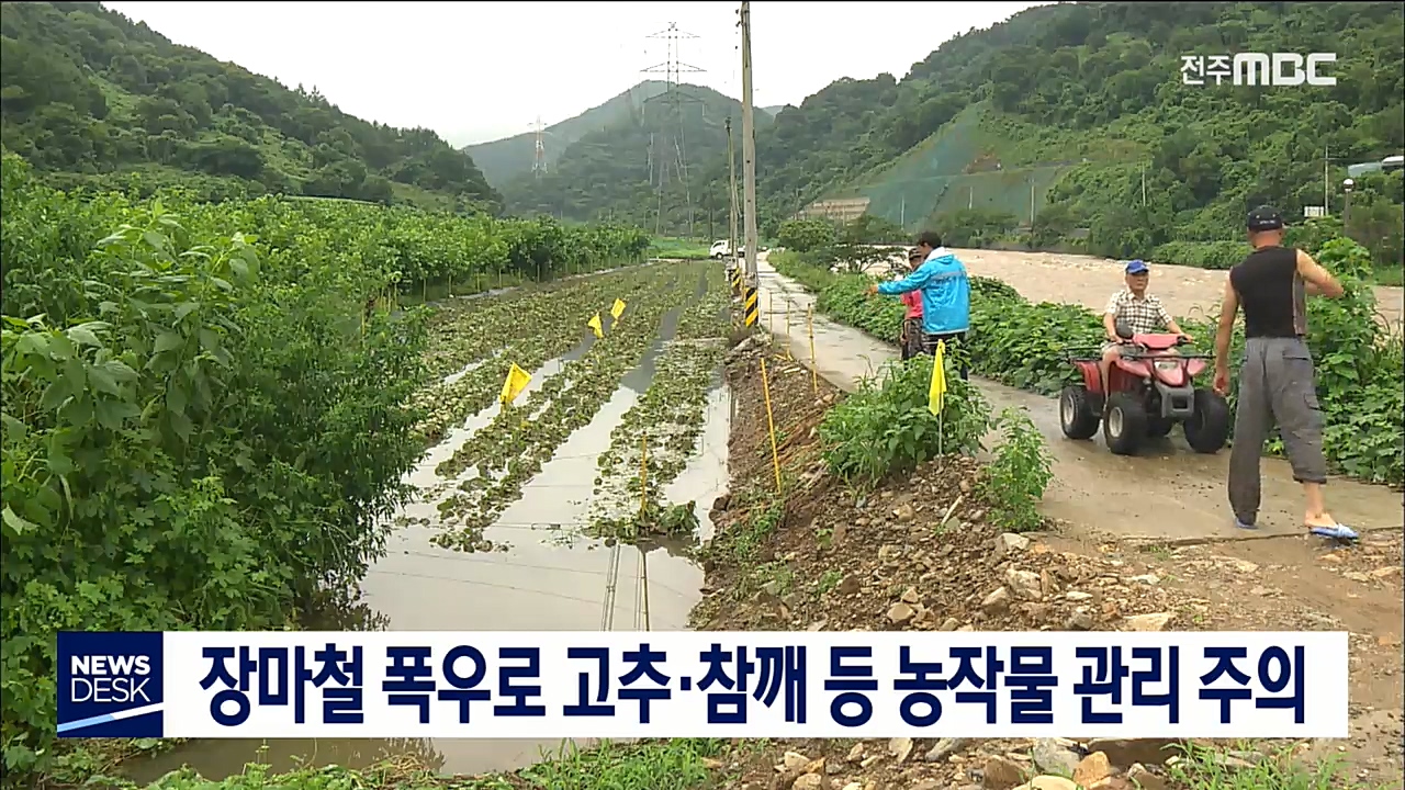 장마철 폭우로 농작물 관리 주의