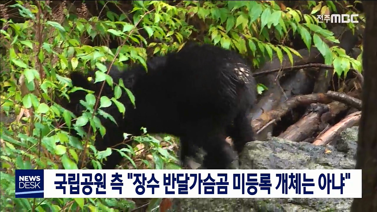 장수 반달가슴곰 미등록 개체는 아냐