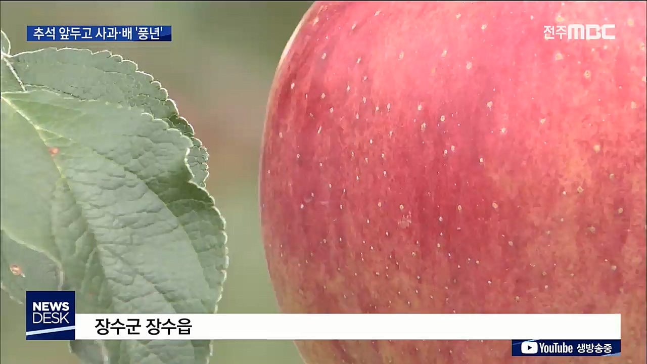 사과.배 '풍년' 수확량 증가