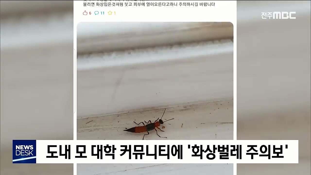 대학 기숙사에 '공포의 벌레'