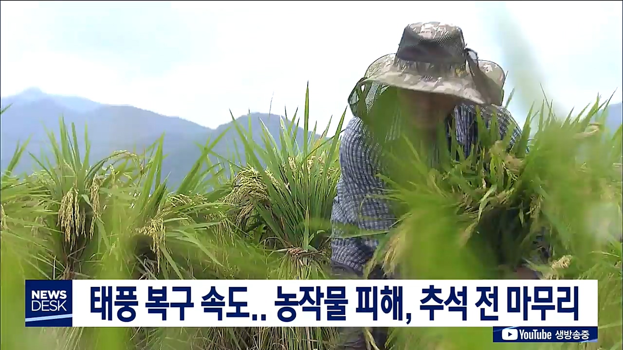 태풍 응급복구 총력