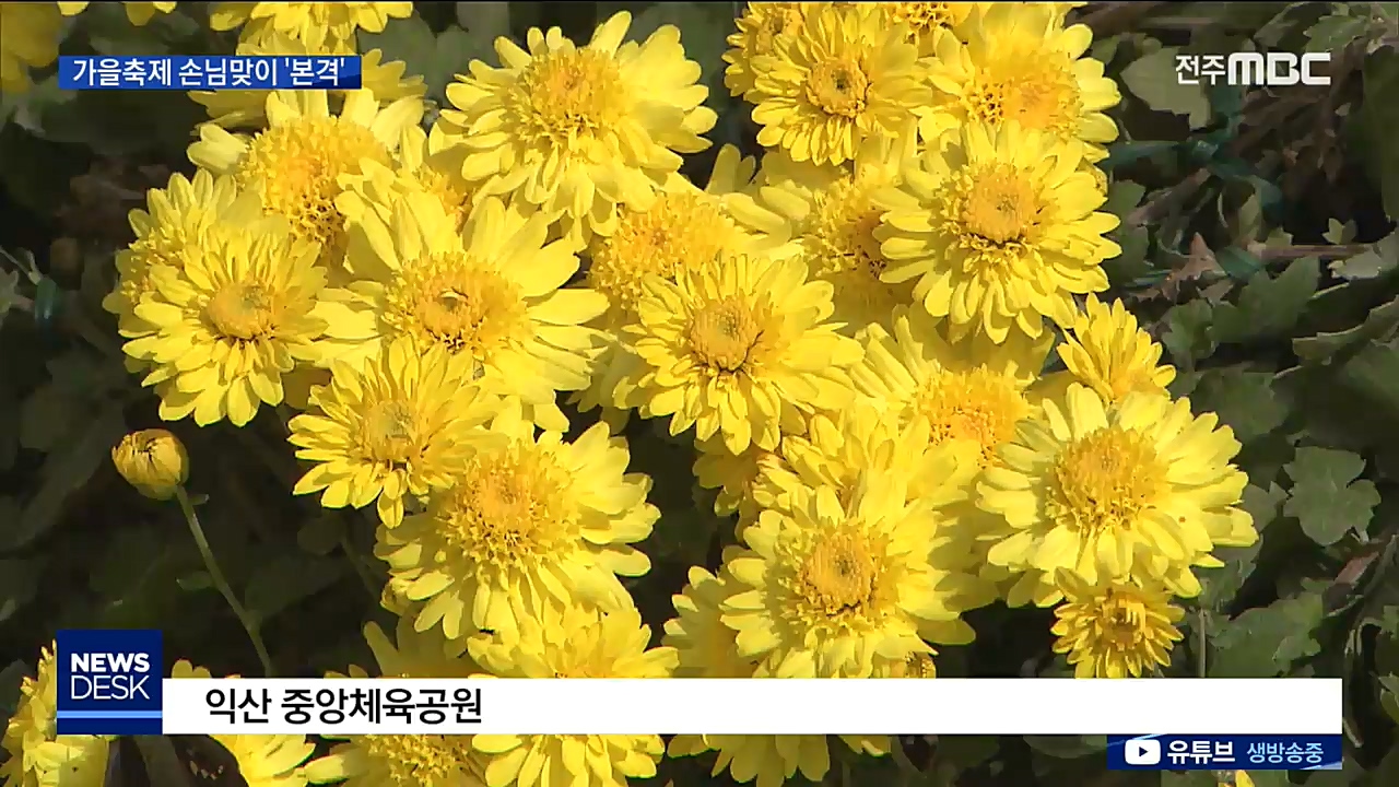 익산 국화.보석축제 성황