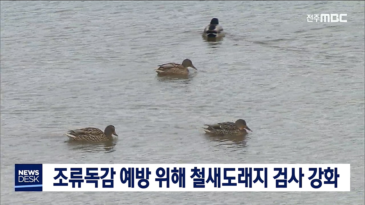 조류독감 예방 위해 철새도래지 검사 강화