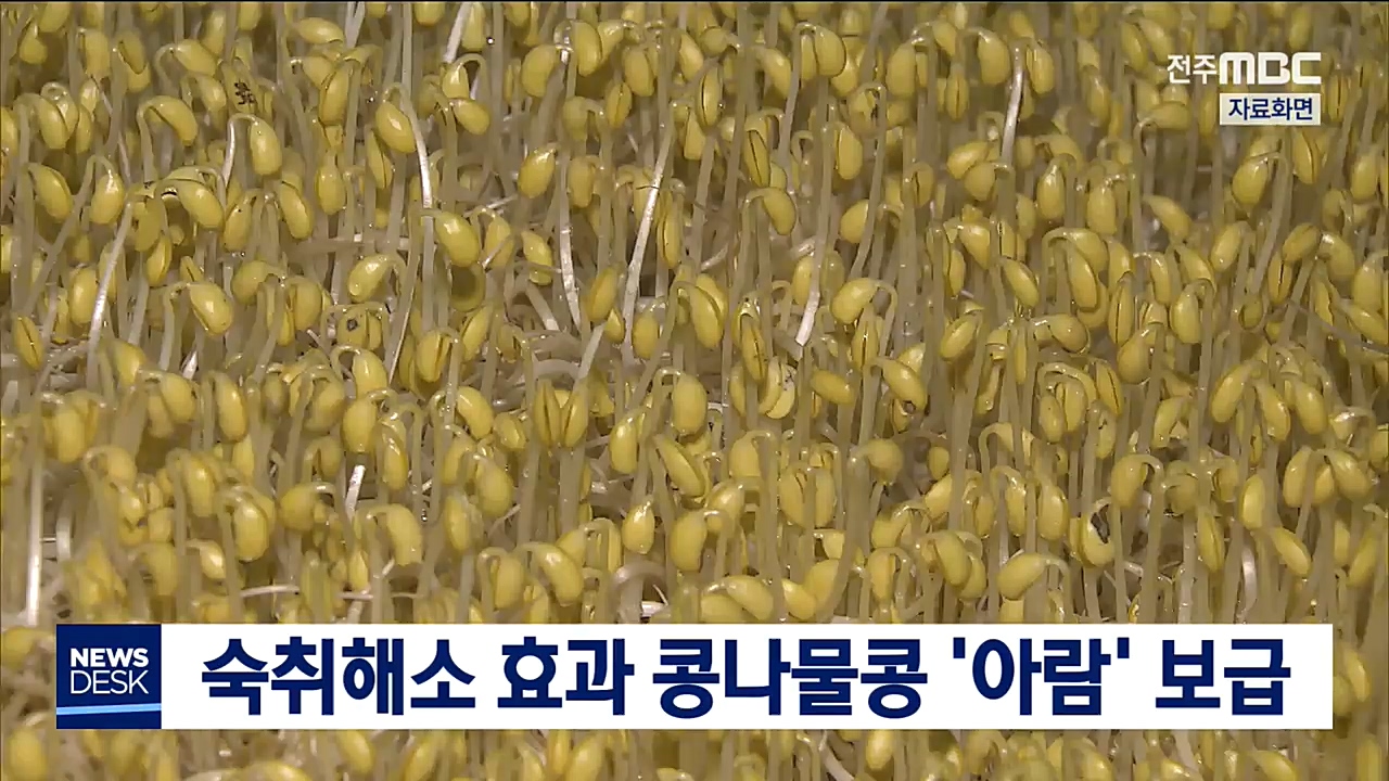 숙취해소 효과 높은 콩나물콩 '아람' 보급