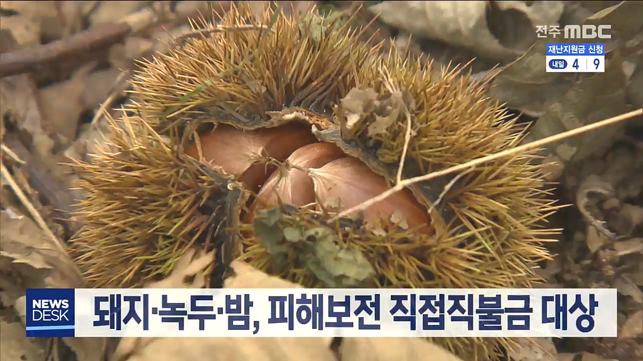 피해보전 직접 직불금 지급 대상 품목 선정