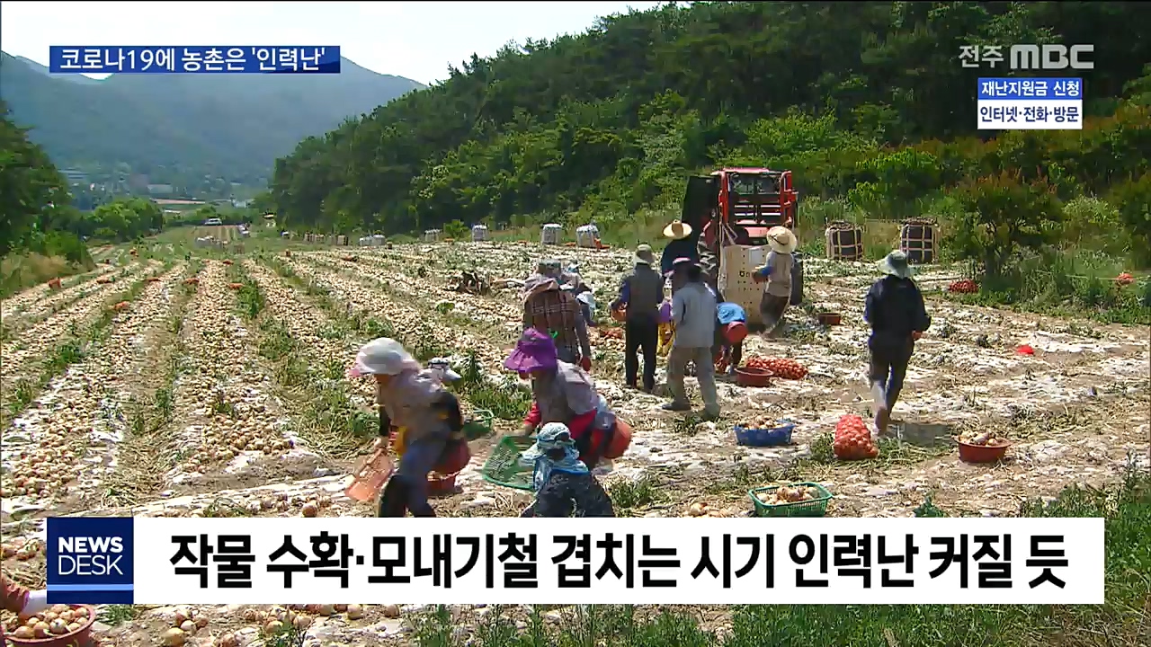 농촌 인력난..앞으로가 더 걱정