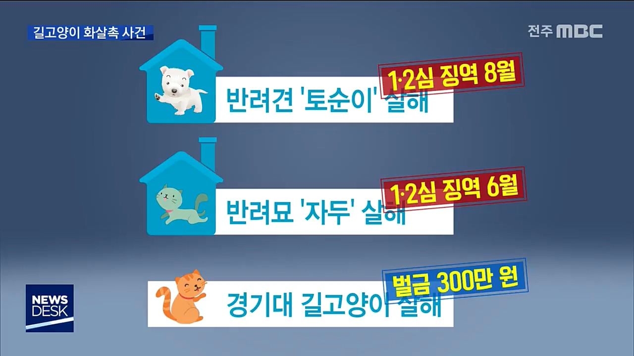 길고양이 화살촉 징역형..동물단체 