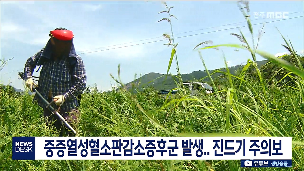 중증열성혈소판감소증후군 발생..진드기 주의보