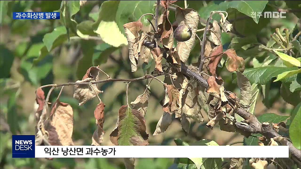 과수화상병 전북에서 처음 확진