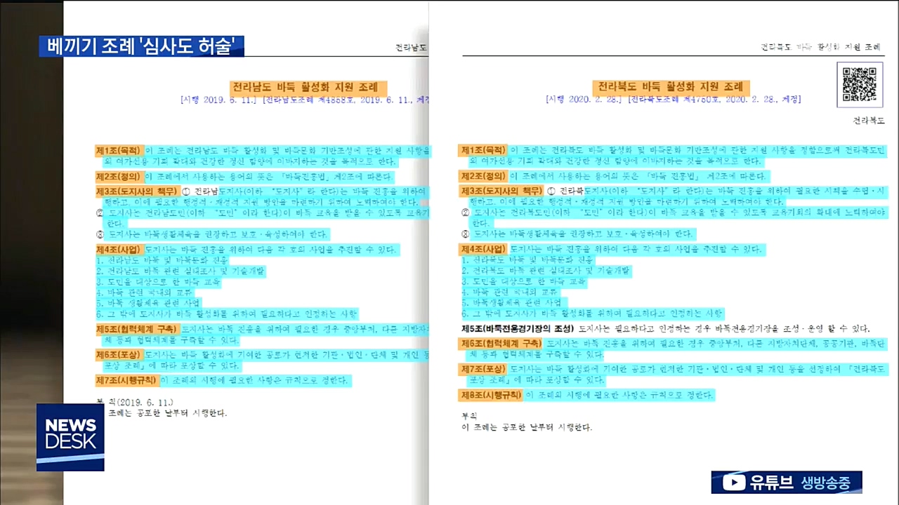 '베끼기 조례안'...심의도 '허술'