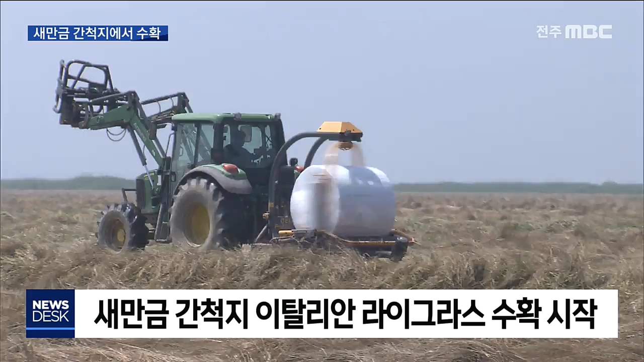 새만금 간척지에서 조사료 생산