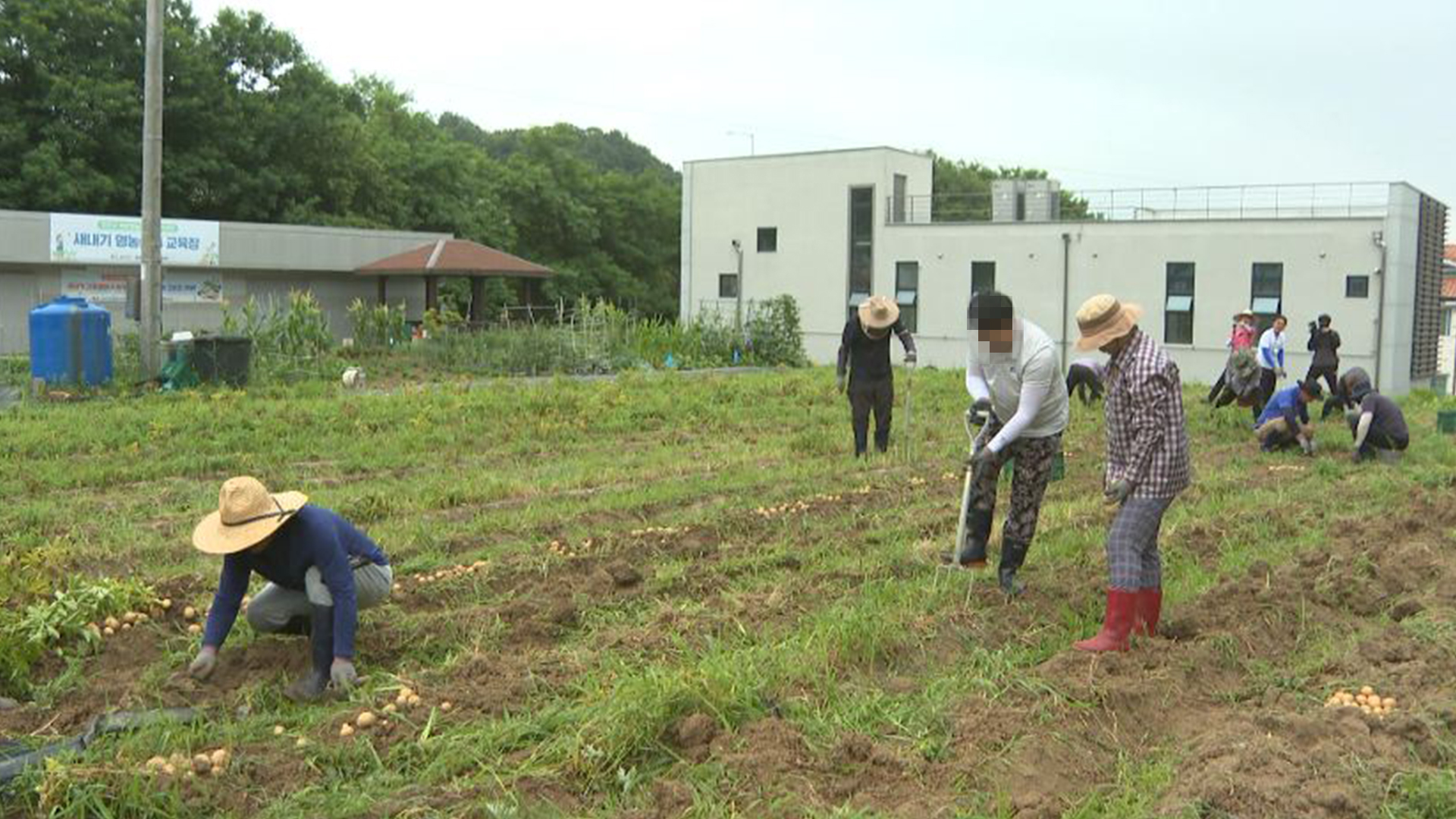 청년농업인 영농정착사업 이탈자 갈수록 줄어