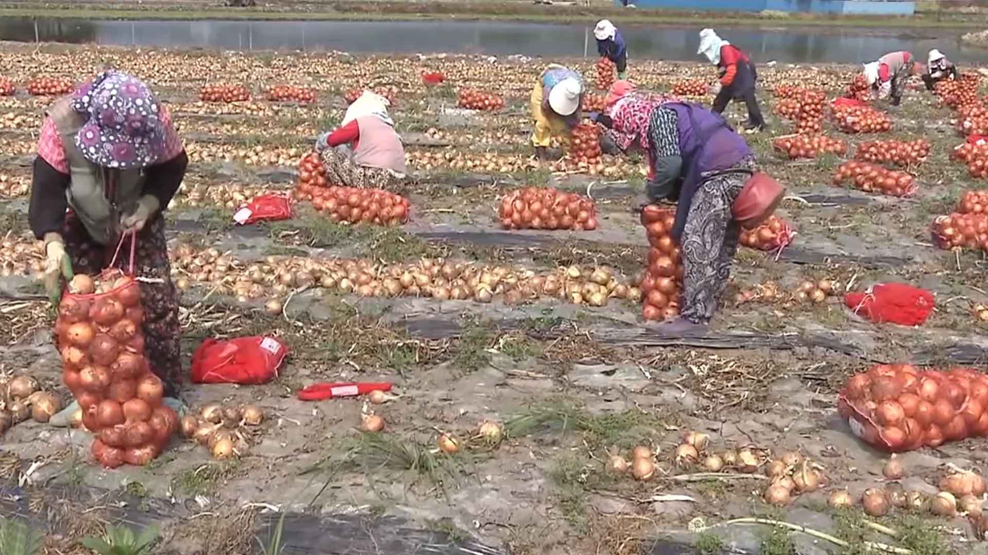 [글로컬 전북] 지역 소식 (완주·남원·장수·고창)