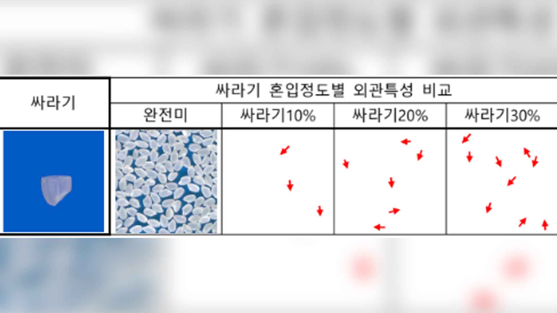 '싸라기' 함량 줄인 '쌀 등급제' 이달부터 시행