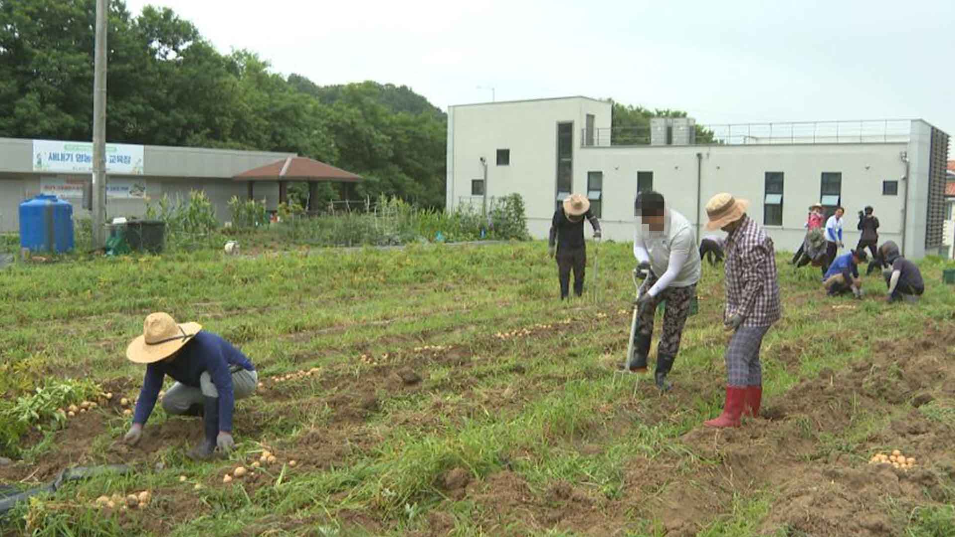 청년농업인 정착 지원사업 확대