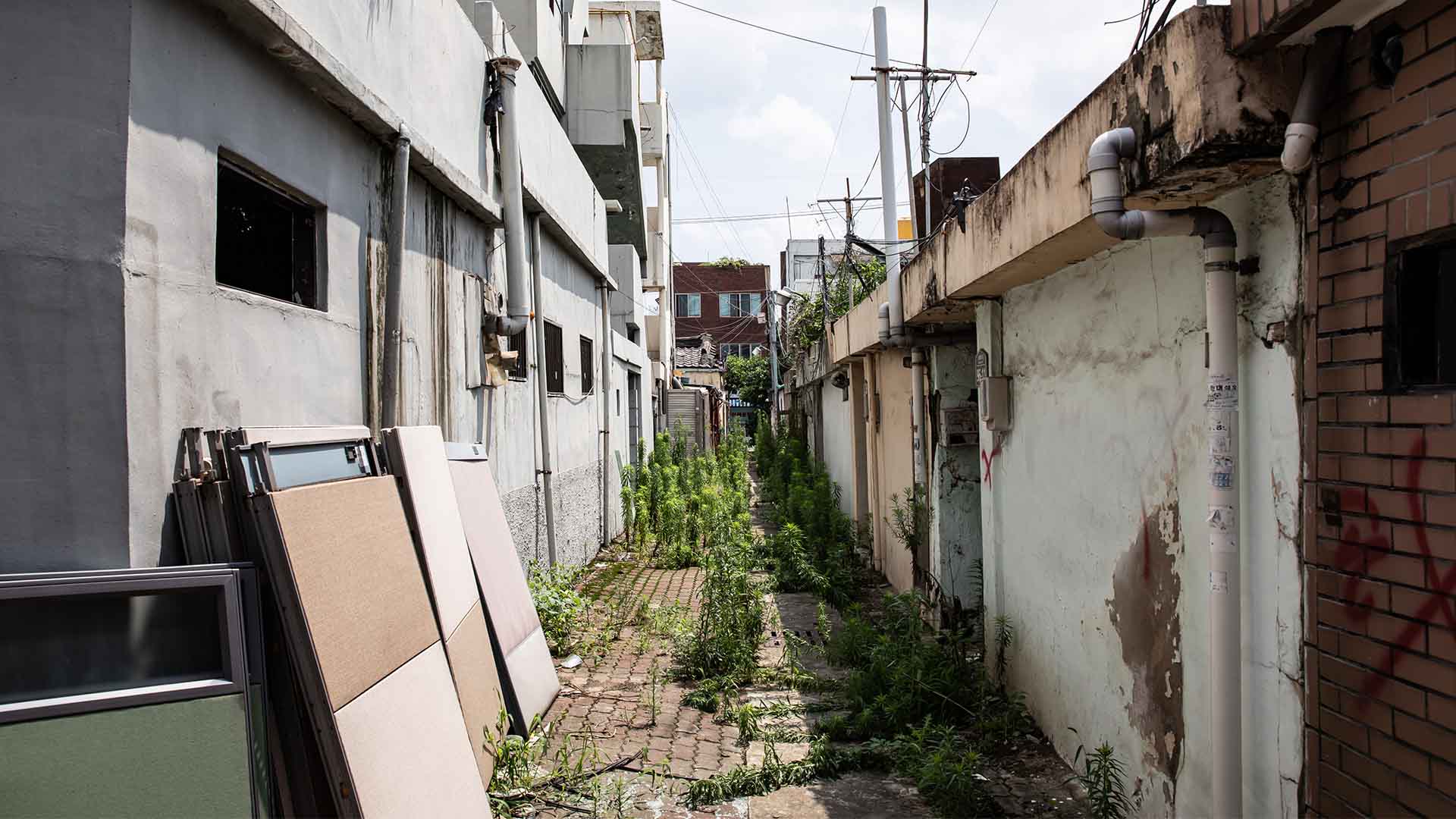 전주 도심 빈집 19곳 매입·정비..