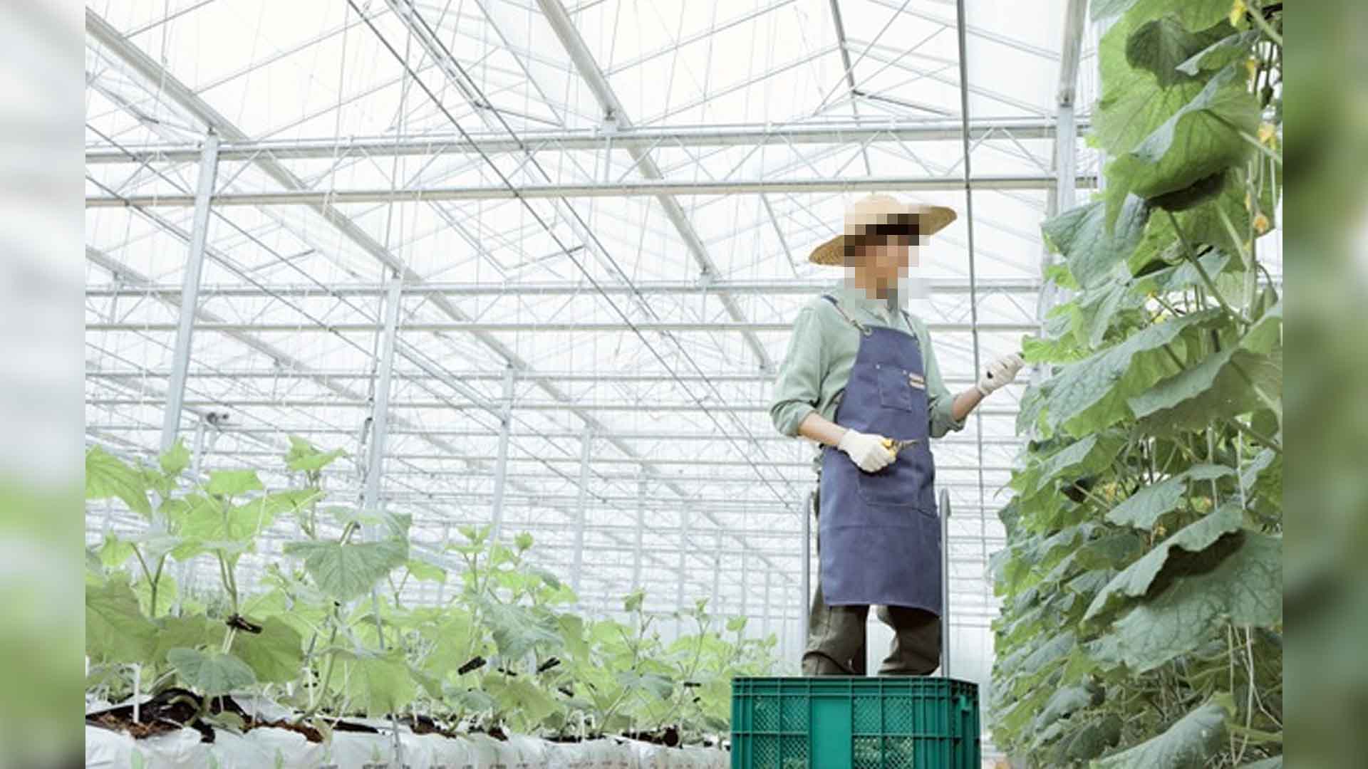 '저탄소 영농'에 활동비 지원.. 오늘(22일)부터 신청