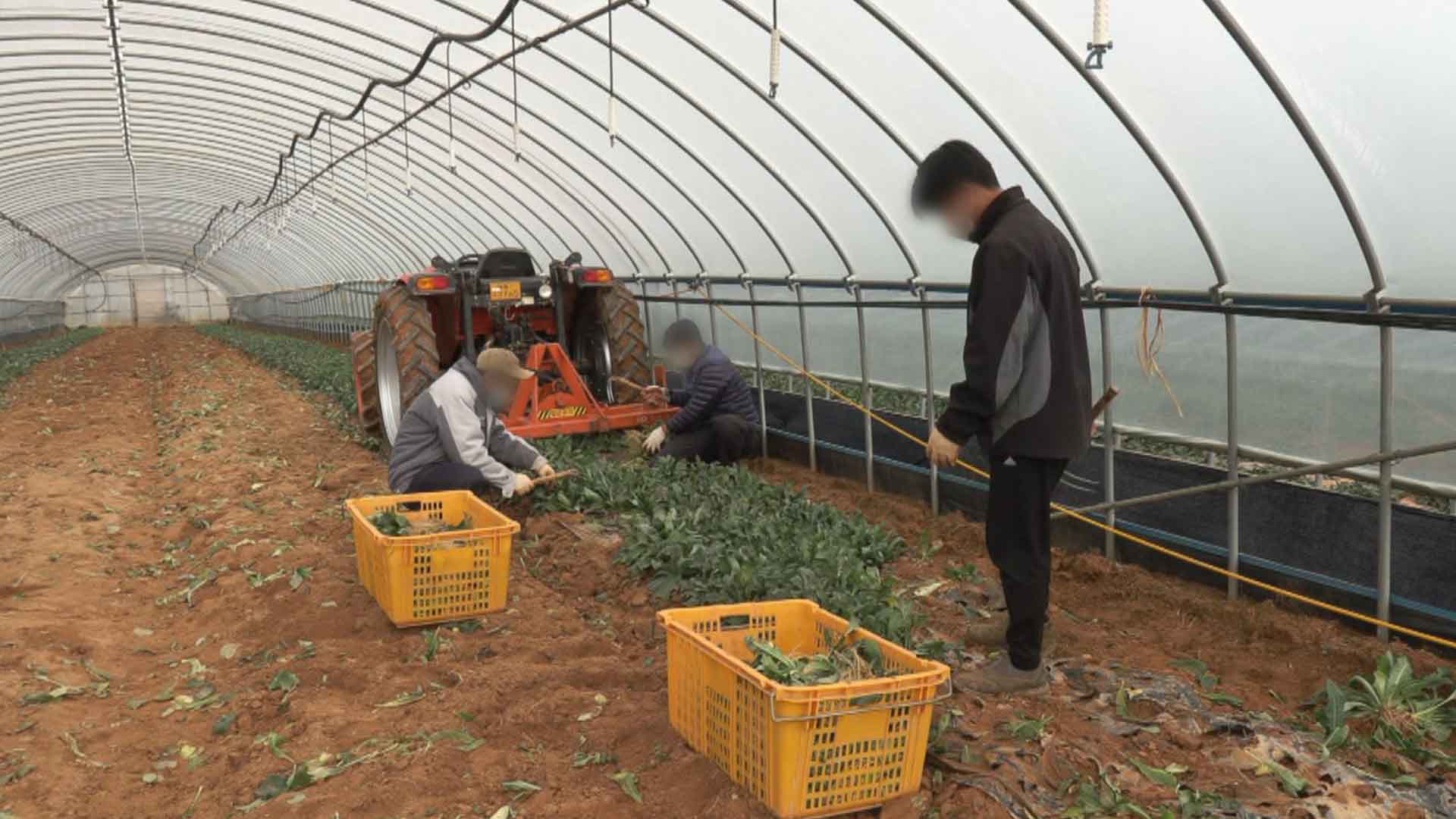 익산시 공무원 베트남 현지에서 계절근로자 직접 선발