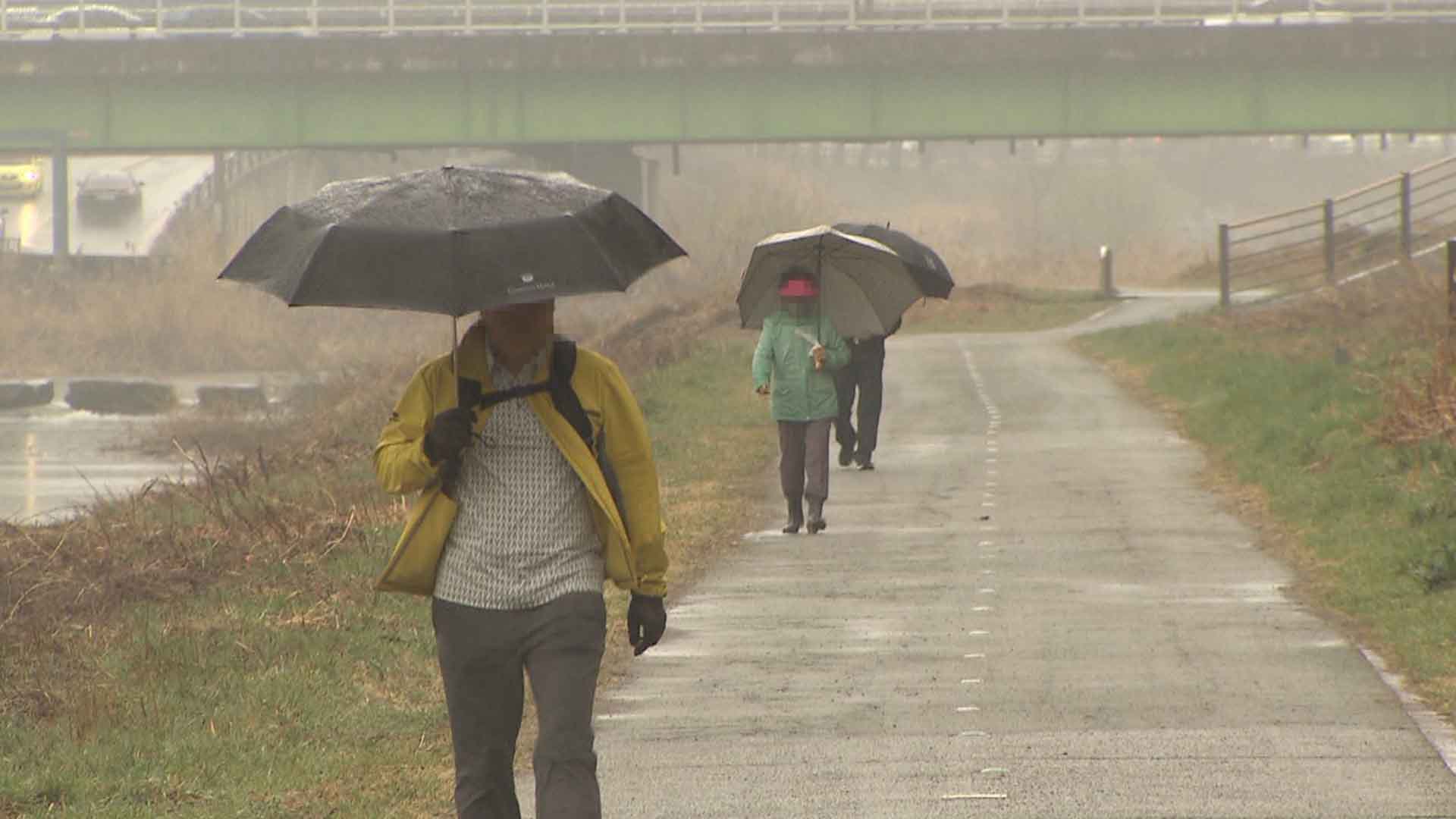 내일까지 5~10mm 비..낮 기온 최고 19도 '포근'