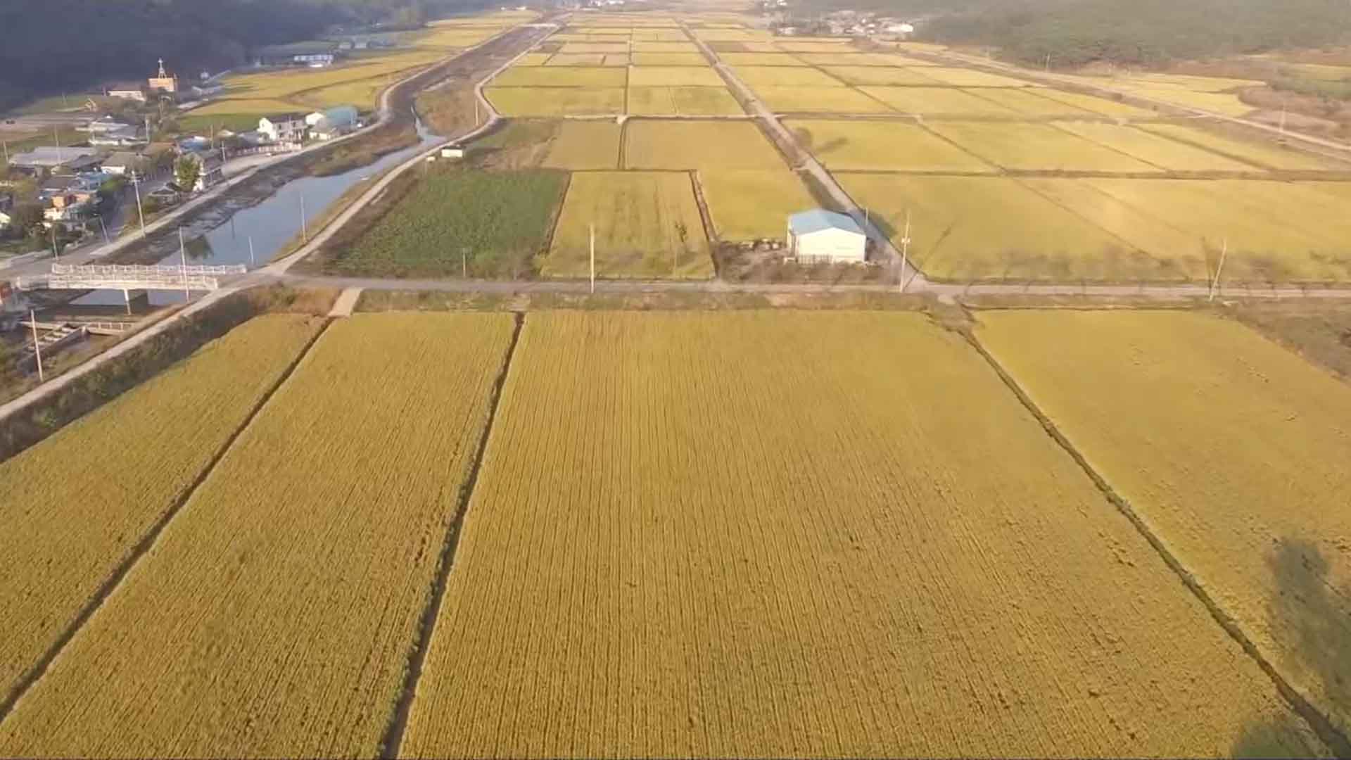 [글로컬 전북] 지역 소식 (고창·임실·남원·완주)