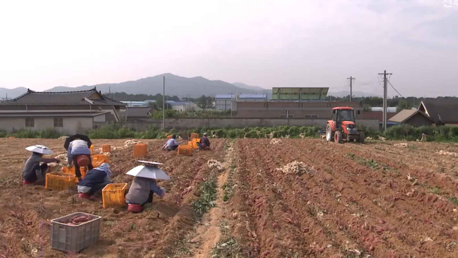 완주군, 몽골 계절근로자 도입..필리핀파견 중단 '대처'