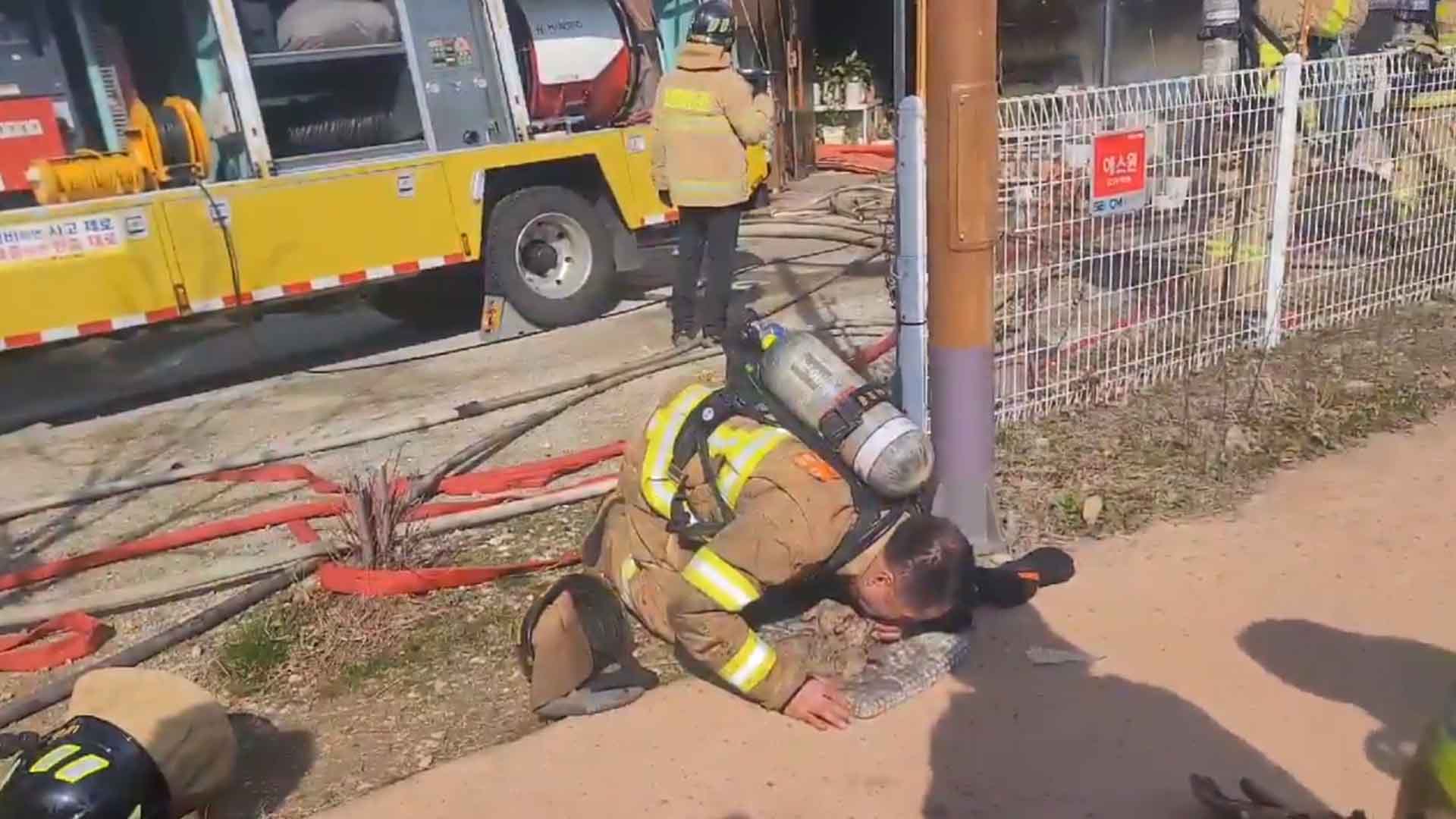 [영상] '어떻게든 살려보려'.. 화재 현장서 강아지에게 CPR 하는 베테랑 소방관