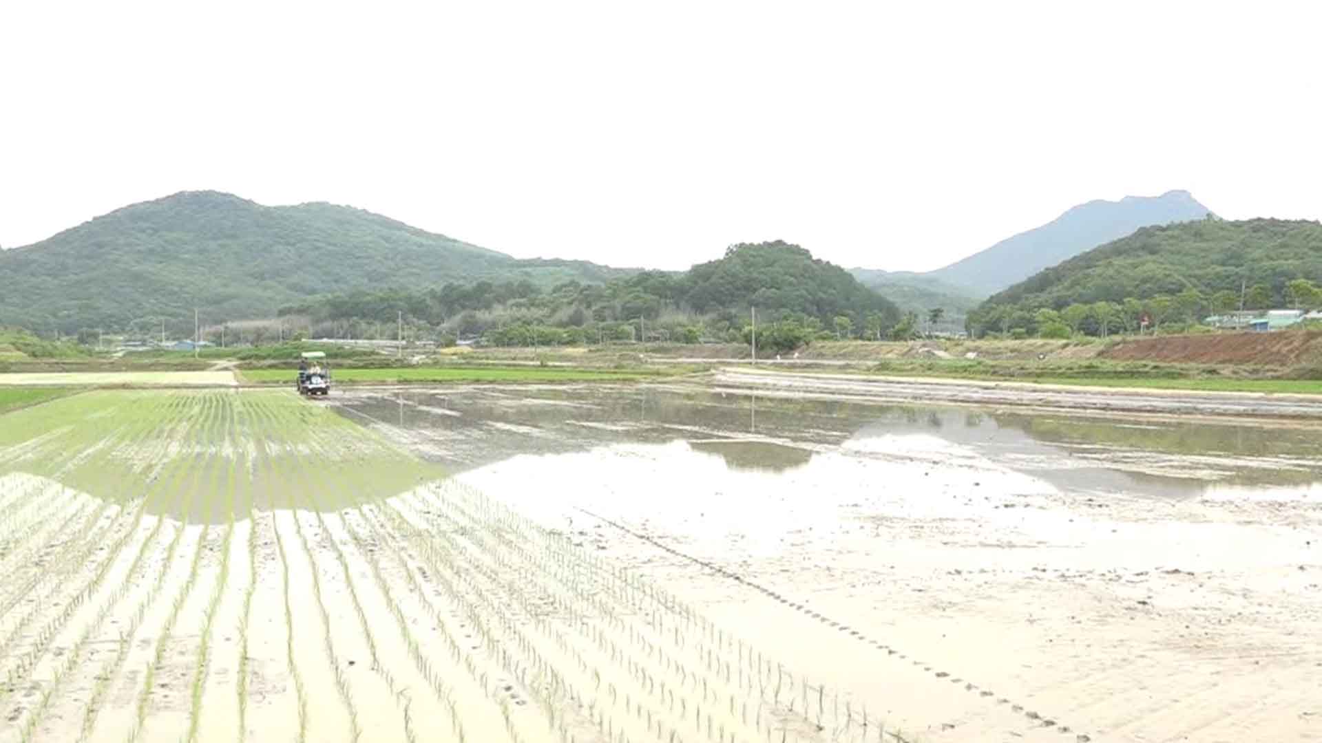 [글로컬 전북] 지역 소식 (완주·남원·김제·순창)