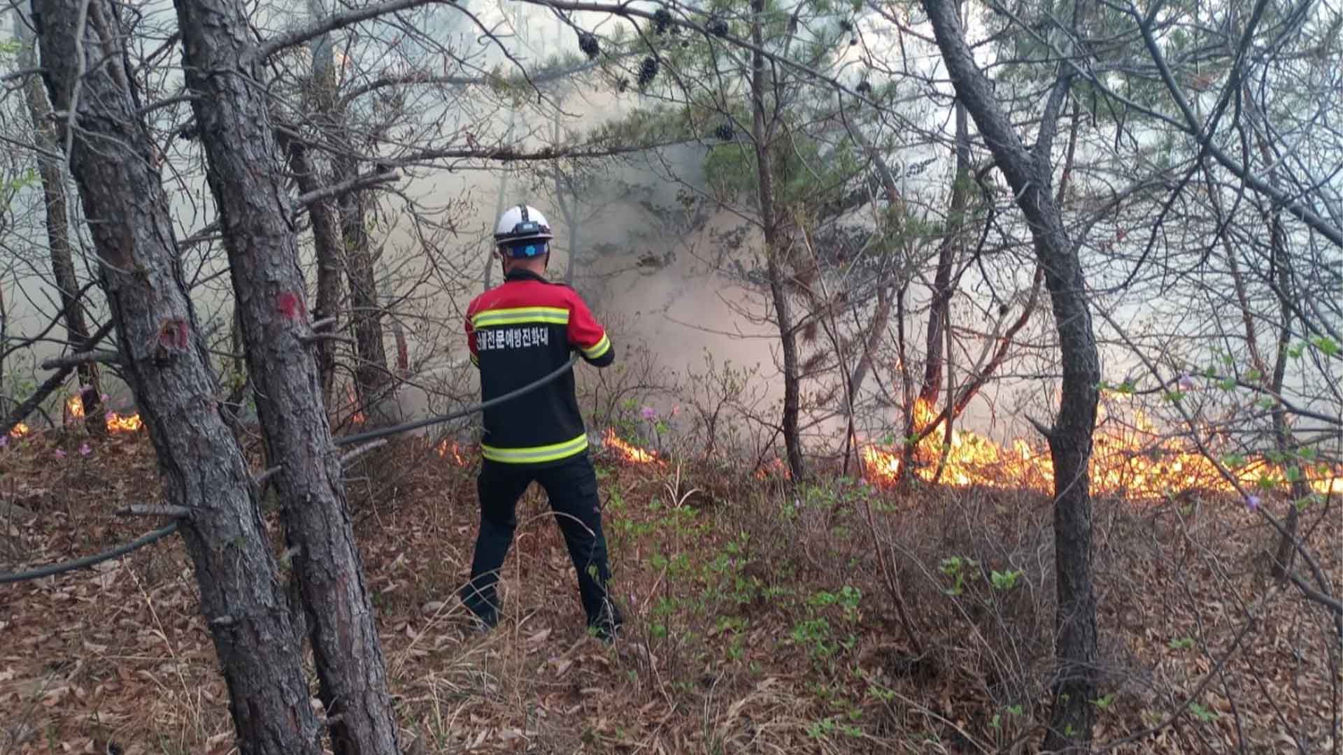 장수 장계 야산에서 산불..재난 국가위기경보 '주의'