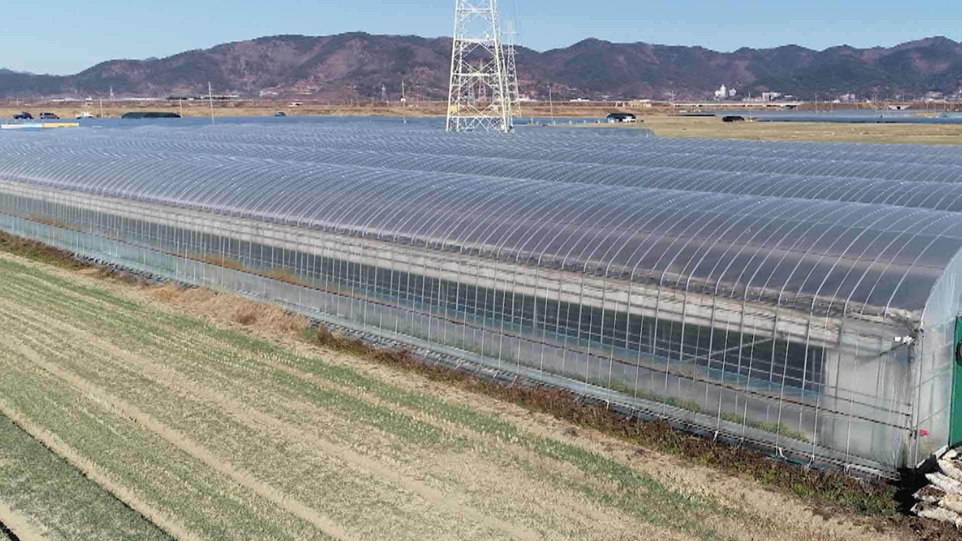 익산 기후변화대비 시설하우스 21%에 불과.. 올해 9억 원 지원