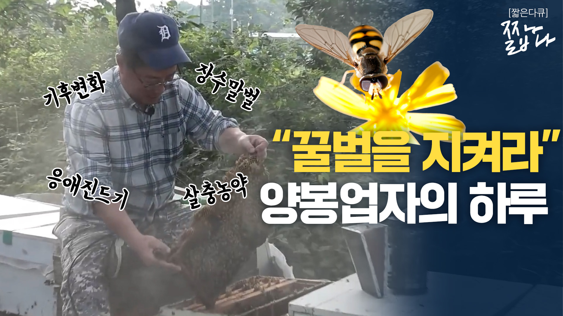 '세계 벌의 날'인데..양봉업자는 