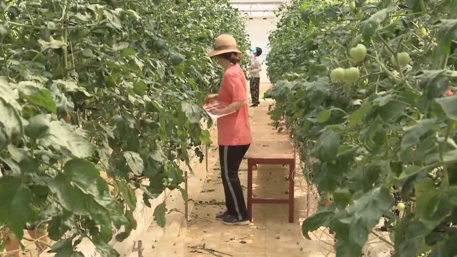 지난해 농가 평균 소득은?..처음으로 5천만 원 돌파