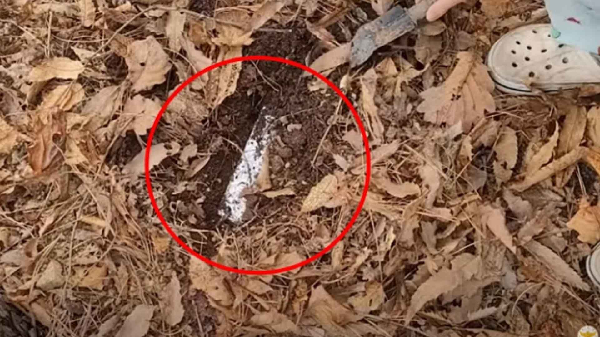 [영상] 땅 속에 파묻힌 '하얀 벽돌' 정체는 마약이었다