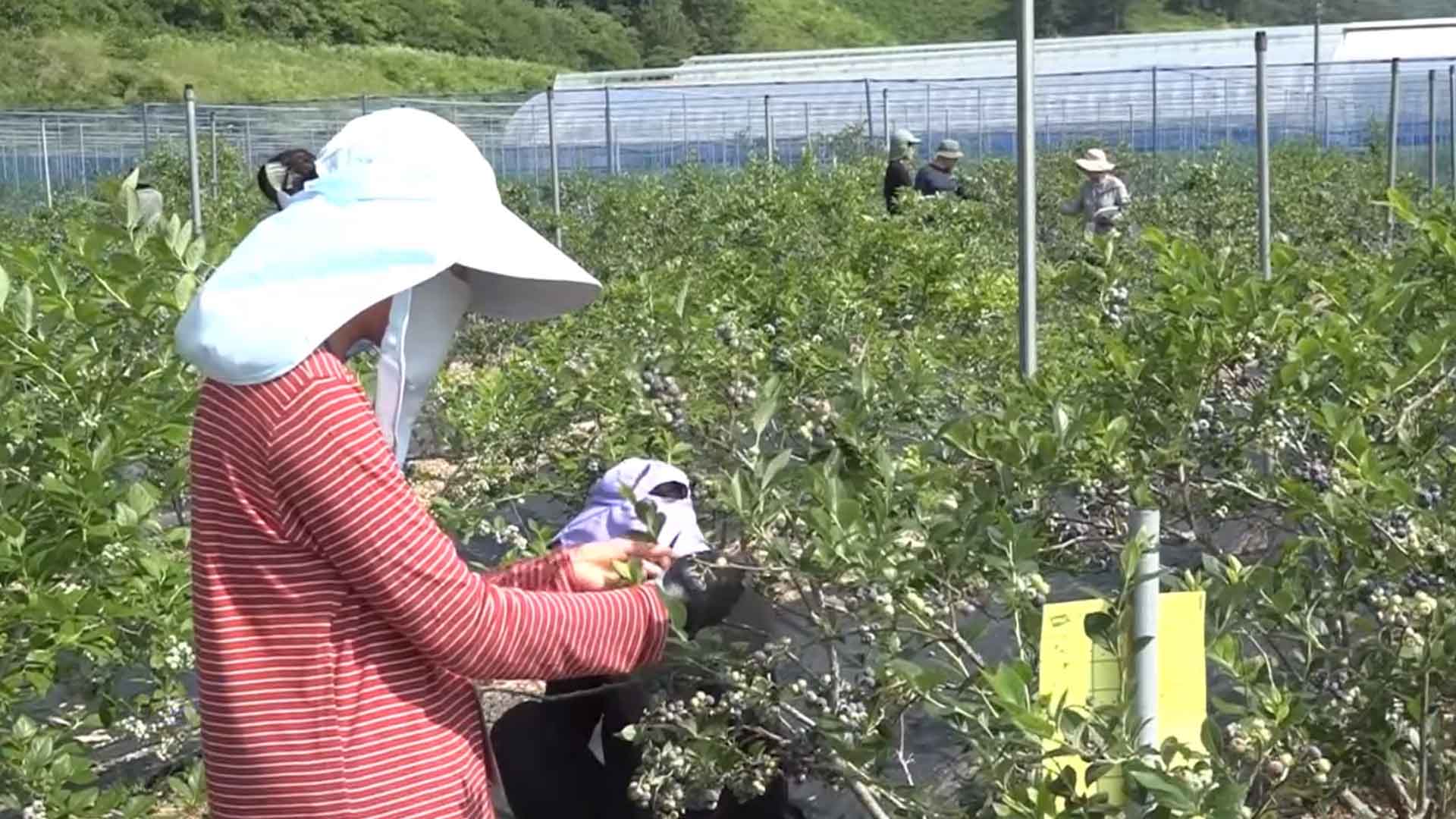 [글로컬 전북] 지역 소식 (고창·완주·장수·순창)