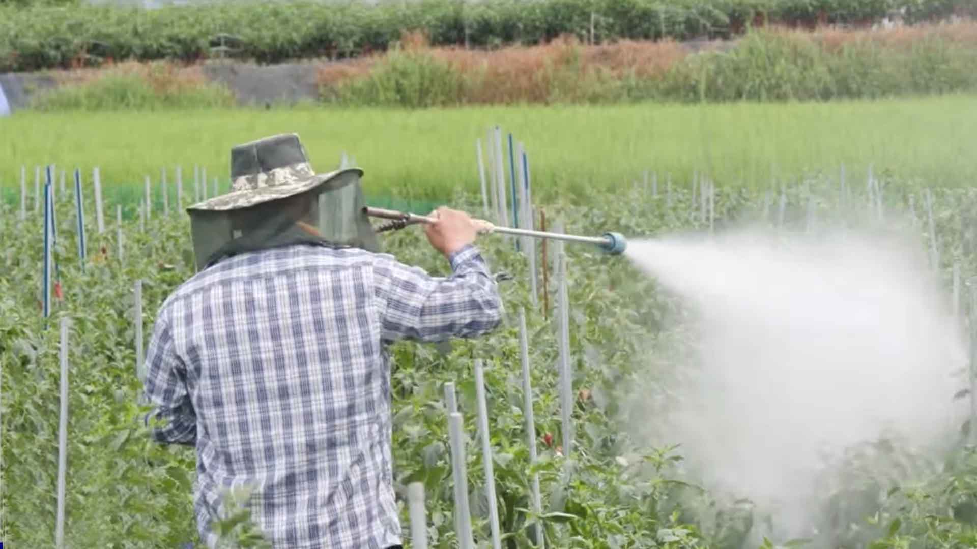 [글로컬 전북] 지역 소식 (정읍·임실·완주·무주)