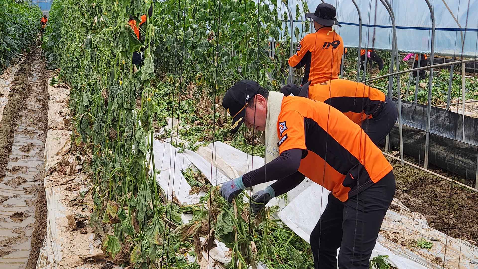 전북 장맛비 소강상태.. 전북소방 복구 작업 나서