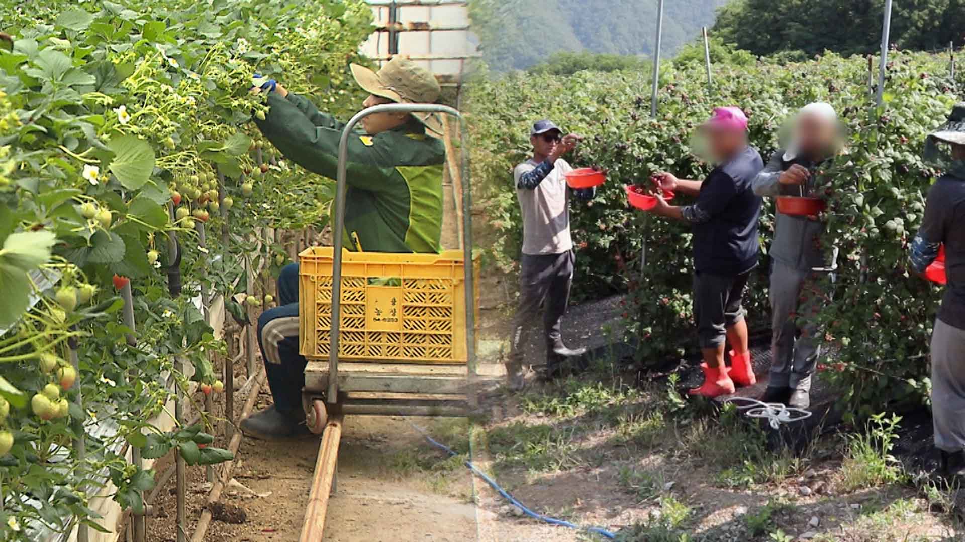 전북도, 외국인 주민 도정 모니터링단 운영