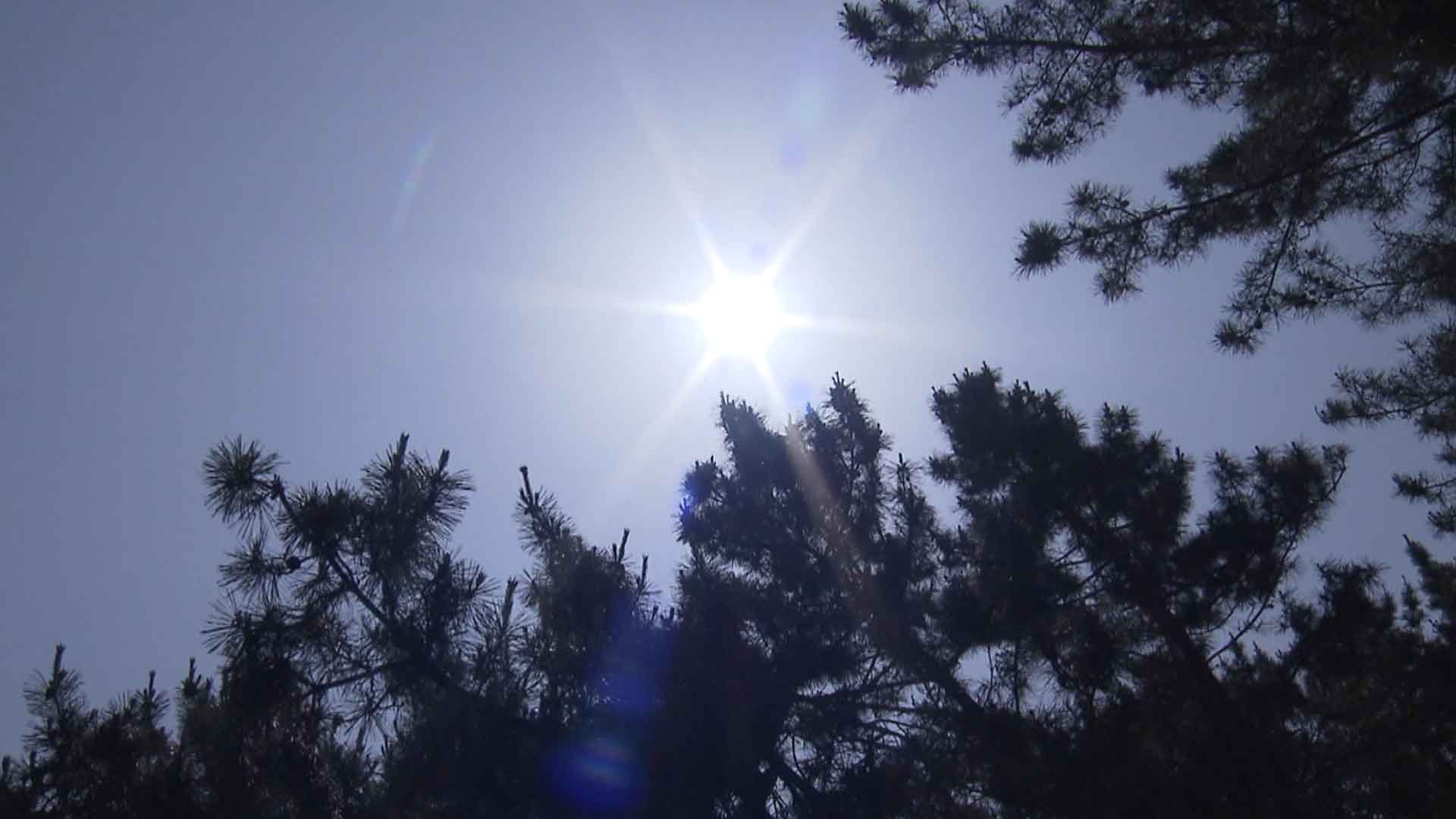 정읍 낮 최고 35.3도.. 당분간 폭염·열대야 지속