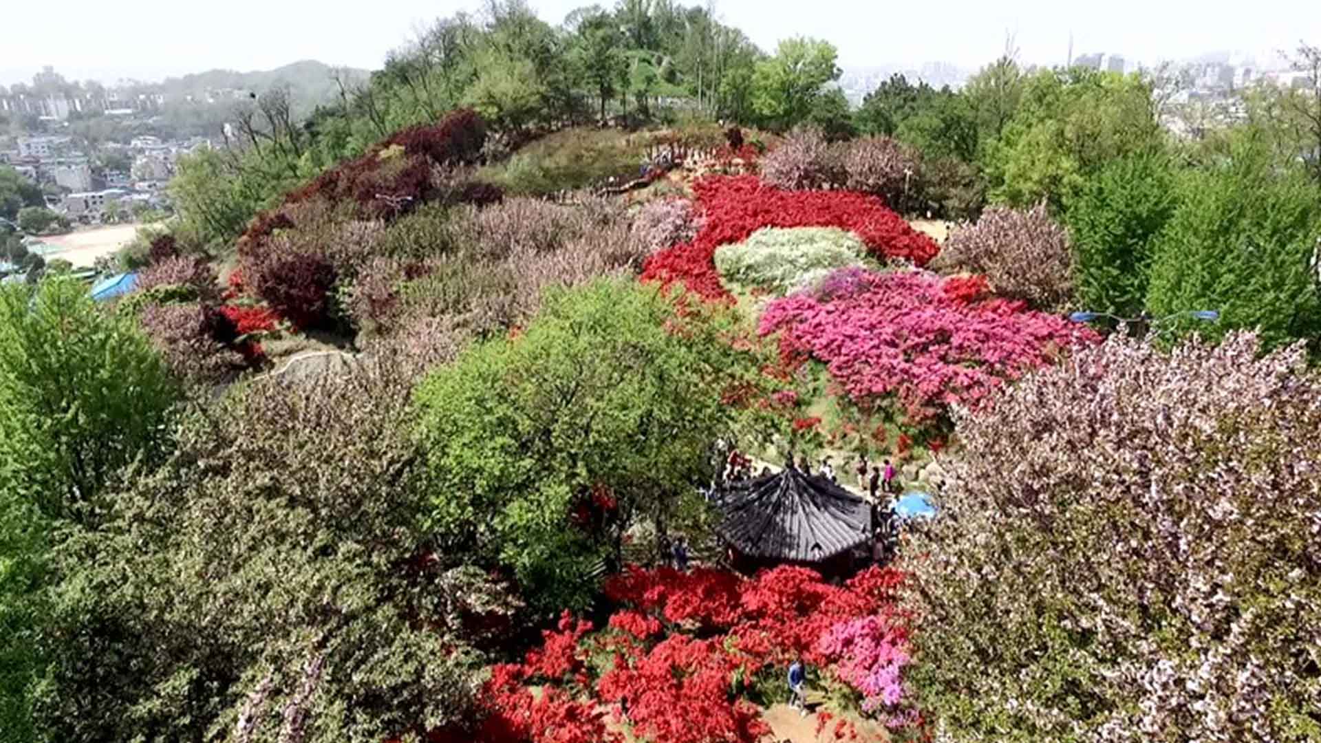 완산공원, 월명공원, 의암공원, 국내 도시숲 50선 선정