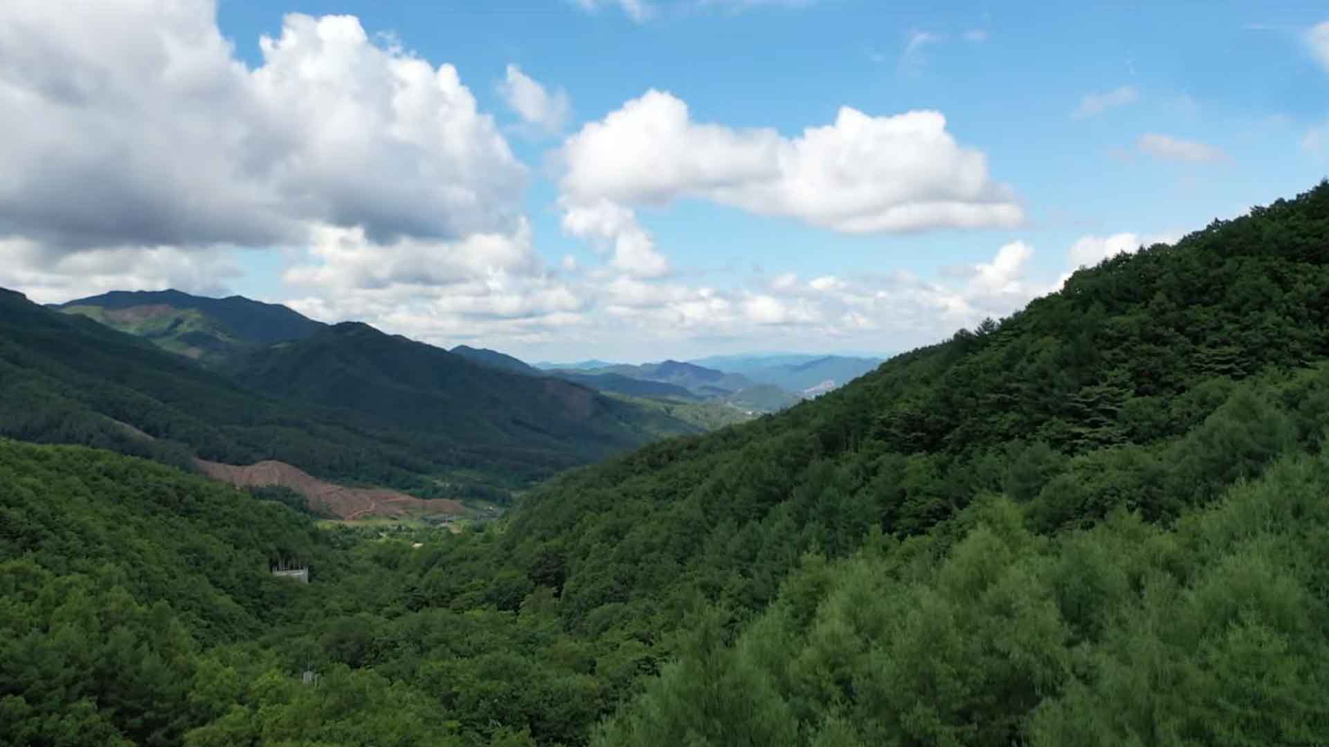 [글로컬 전북] 지역 소식 (김제·순창·완주·장수)