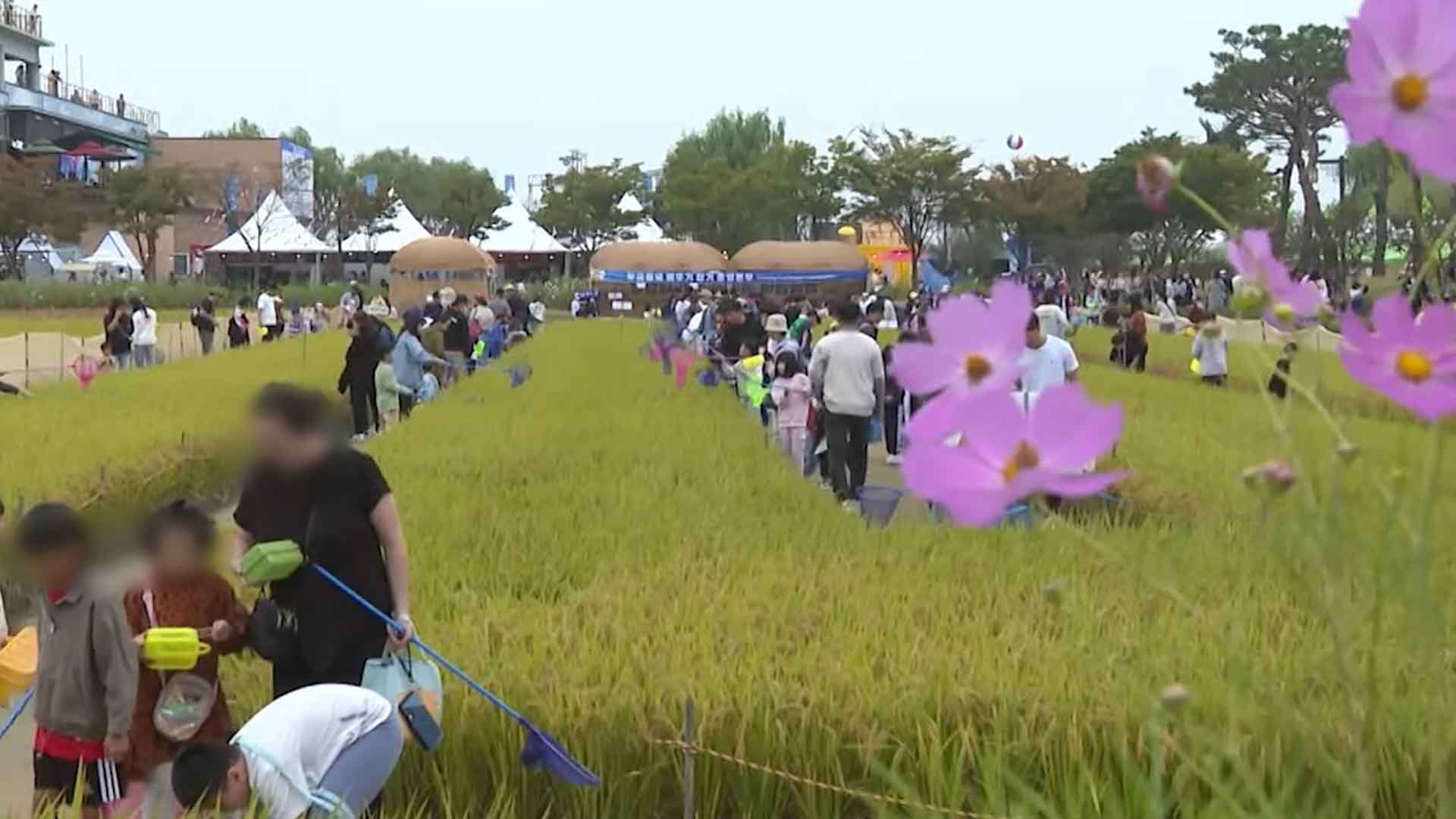 가을 축제 속속 개막..